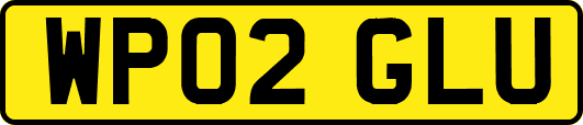 WP02GLU