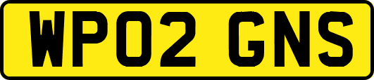 WP02GNS