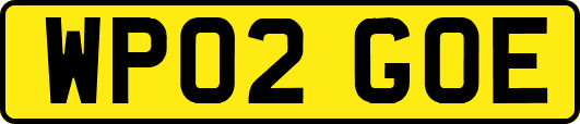 WP02GOE