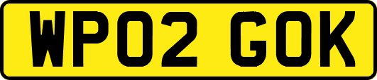WP02GOK