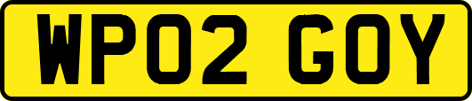 WP02GOY