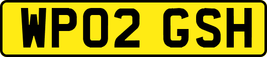 WP02GSH