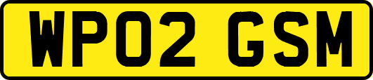WP02GSM