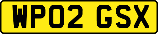 WP02GSX