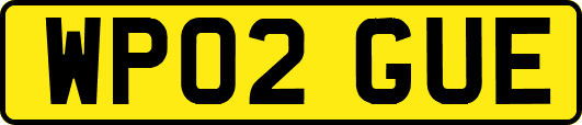 WP02GUE