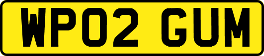 WP02GUM