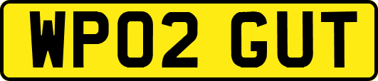 WP02GUT