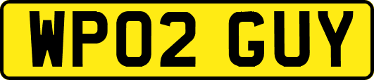WP02GUY