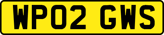 WP02GWS