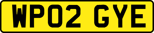 WP02GYE
