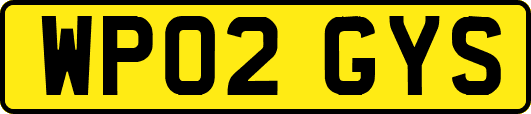 WP02GYS