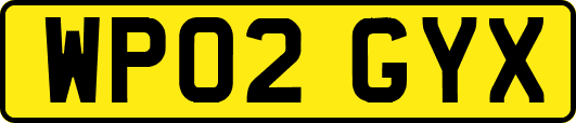 WP02GYX