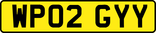 WP02GYY