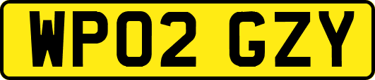 WP02GZY