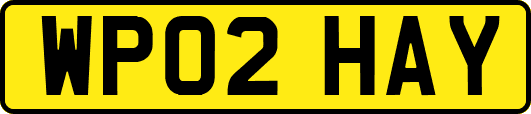 WP02HAY
