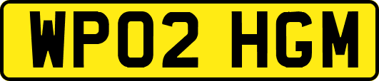 WP02HGM