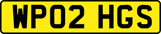 WP02HGS