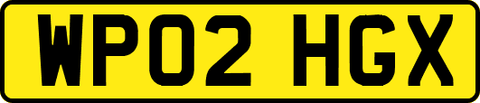 WP02HGX