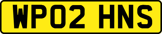 WP02HNS