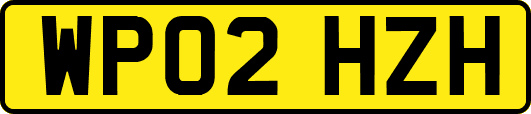 WP02HZH