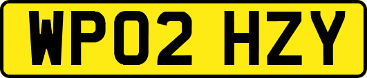 WP02HZY