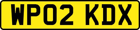 WP02KDX