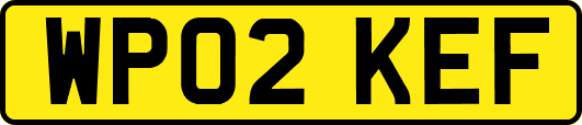 WP02KEF