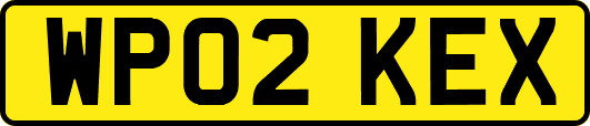 WP02KEX