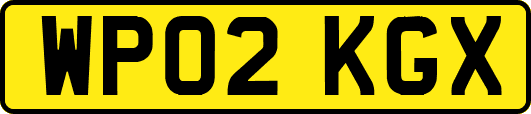 WP02KGX