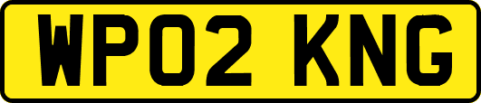 WP02KNG