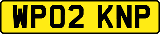 WP02KNP