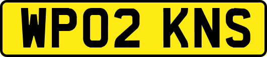 WP02KNS