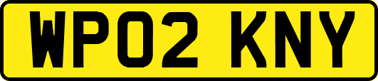 WP02KNY