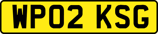 WP02KSG