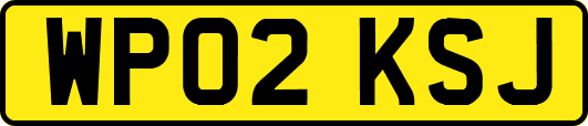 WP02KSJ