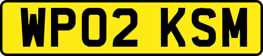 WP02KSM