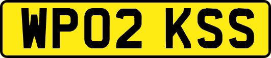 WP02KSS