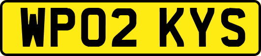 WP02KYS