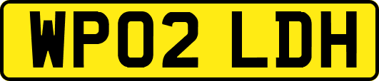 WP02LDH