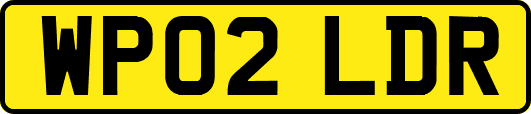 WP02LDR