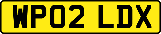 WP02LDX