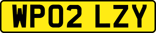 WP02LZY