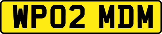 WP02MDM