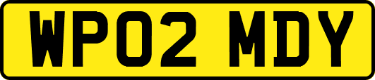 WP02MDY