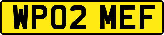 WP02MEF