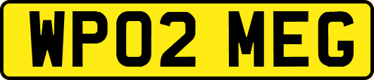 WP02MEG