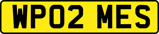 WP02MES