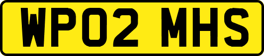 WP02MHS