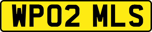 WP02MLS