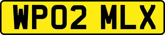 WP02MLX